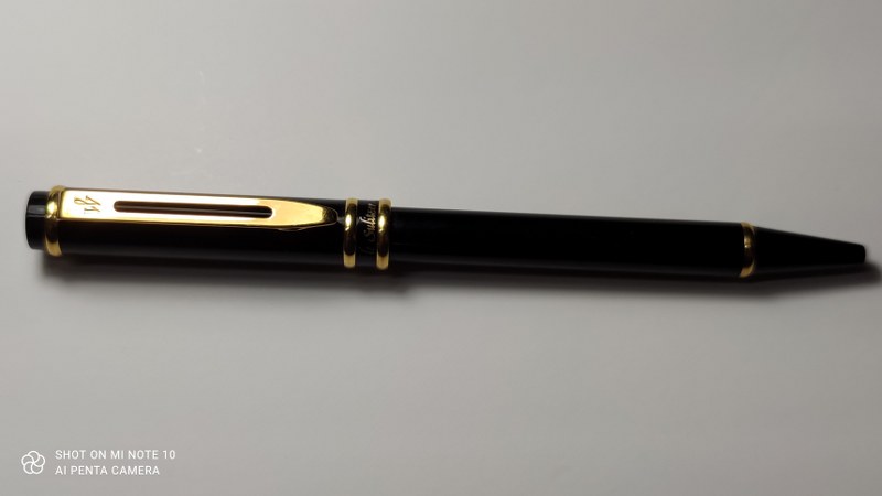 " LE SULITZER WATERMAN"
